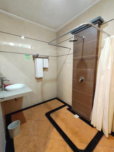 La salle de bains est pourvue d'une douche et d'un lavabo. dans l'établissement La Walon Hotel, à Kuta