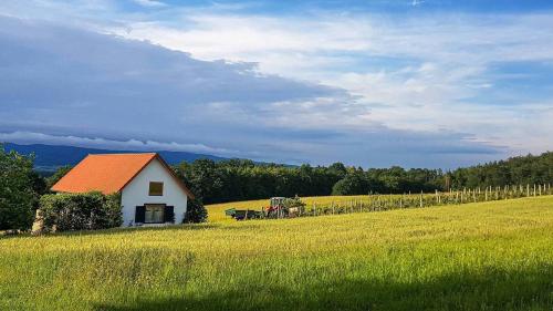 Urlaub am Kinispa
