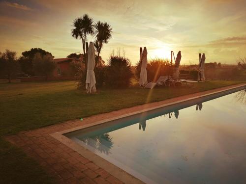 een zwembad met parasols en een palmboom bij Villa con pascina panoramica in Bracciano