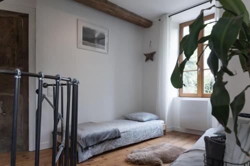 a bedroom with a bed and a window and a plant at Maison dans le centre historique pour 6 personnes avec terrasse et parking in Pau