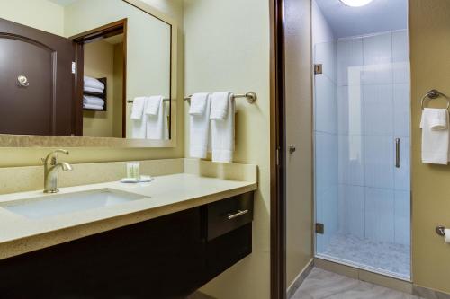 Kopalnica v nastanitvi Staybridge Suites Atlanta Airport