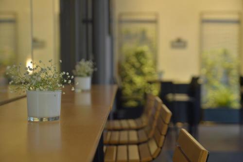 une table avec deux plantes en pot en haut dans l'établissement Athenaeum K 29, à Athènes