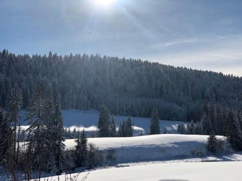 a snow covered field with trees in the background at Appartement 6/8 personnes in Petite Chaux