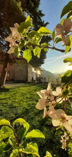 Κήπος έξω από το Pröfinghof - Urlaub auf dem Biobauernhof