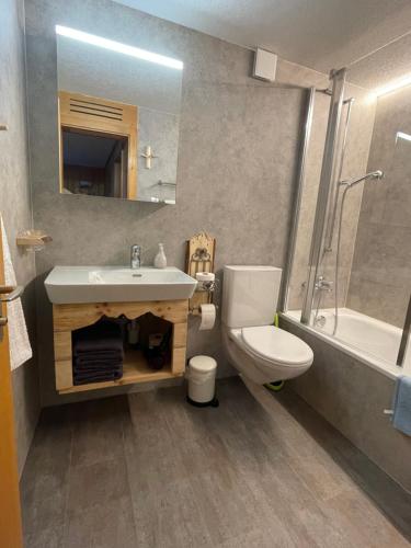 ein Badezimmer mit einem Waschbecken, einem WC und einem Spiegel in der Unterkunft Eigerhome - Chalet am Bühl in Grindelwald