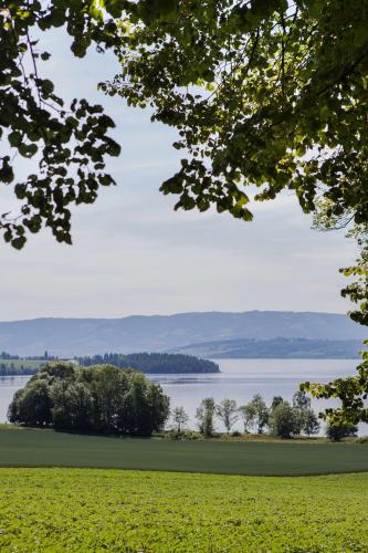 a view of a field with a lake in the background at Hoel Gård - Herregården ved Mjøsa in Nes i Ådal