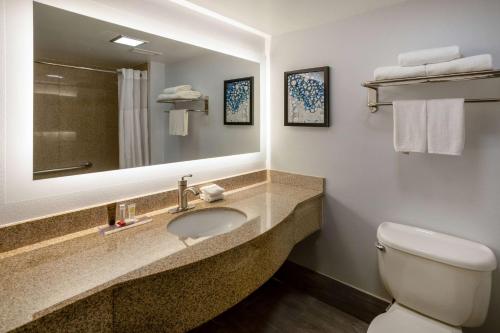 a bathroom with a sink and a toilet and a mirror at Wingate by Wyndham Waldorf - Washington DC Area in Waldorf