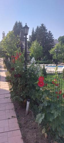 a fence with a bunch of flowers in a garden at Vila Kraljica in Vrdnik