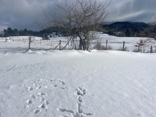 a snow covered field with footprints in the snow at B&B VillaDansio in Rezzoaglio