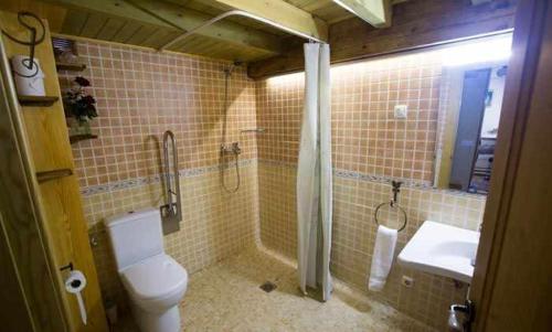 a bathroom with a toilet and a shower and a sink at Casa del Cerro es una singular casa rural de fácil acceso in Cabezas Bajas