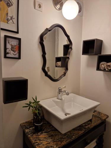 a bathroom with a sink and a mirror on the wall at Albin le musicien in Talence