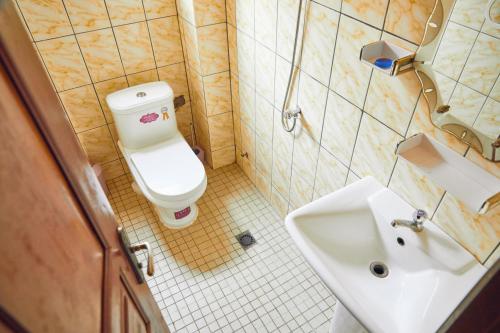 La petite salle de bains est pourvue de toilettes et d'un lavabo. dans l'établissement Three rooms Appartment Bieyem assi, à Yaoundé