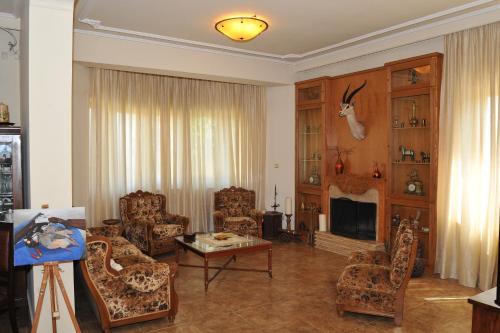 a living room with chairs and a fireplace at Villa Maria υπέροχη βίλα στα Μετέωρα in Kalabaka