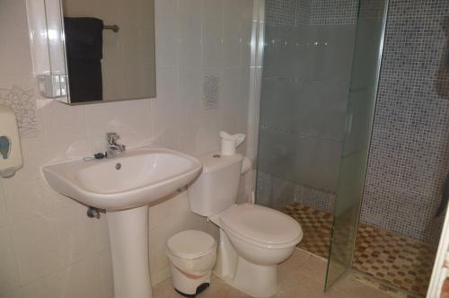 y baño con aseo, lavabo y ducha. en Apartamentos Playa Azul, en Vallehermoso