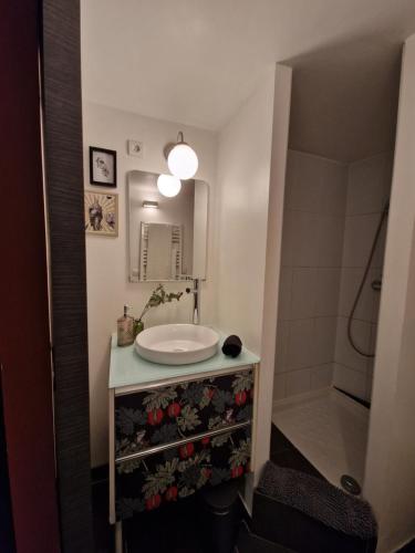 La salle de bains est pourvue d'un lavabo, d'un miroir et d'une douche. dans l'établissement Sauveur le Sculpteur, à Talence