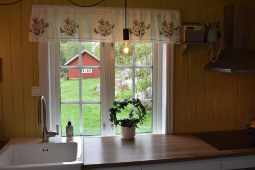 a kitchen with a window with a sink and a plant at Cozy Country House in Spydeberg