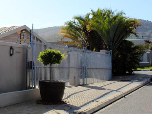 a fence with a potted tree in front of a house at Two Oceans Stay in Cape Town