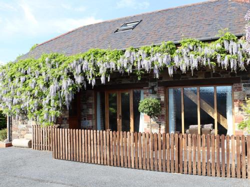 a building with a bunch of wisterias hanging over a fence at Little Orchard in Newton Abbot