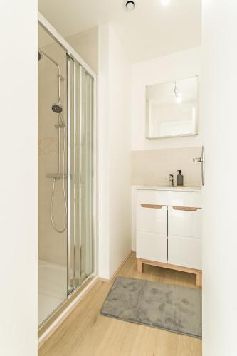 une salle de bain avec douche et lavabo dans l'établissement Duplex Providence - Idéal Groupe - Confort - Parking Privé, à Troyes