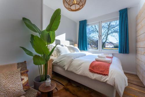 a bedroom with a bed with blue curtains and a plant at Geulzicht Hotel in Schin op Geul