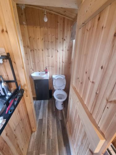 a wooden bathroom with a toilet and a sink at Blair snug hut in Kelty