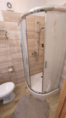 a bathroom with a shower and a toilet at MP Center Magánszállás in Miskolc