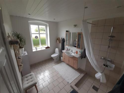 La salle de bains est pourvue d'une douche, de toilettes et d'un lavabo. dans l'établissement Urlaub im Haus an der Bucht, à Nordborg