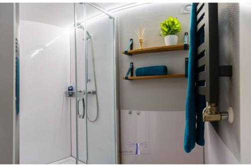 uma casa de banho com um chuveiro e uma cabina de duche em vidro. em Hausboot Fjord POLARIS mit Biosauna in Barth em Barth