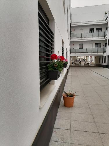 Apartamento Alfareria de Triana - Kainga Homes