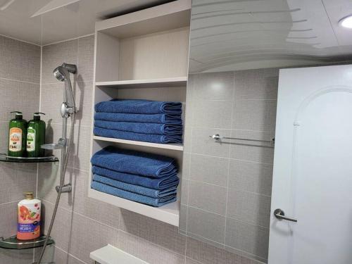 La salle de bains est pourvue d'une douche et de serviettes bleues. dans l'établissement SinNaMu Family House, à Suwon
