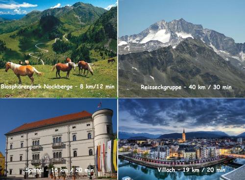 eine Collage von Bildern einer Stadt und eines Pferdes in der Unterkunft Schöne einfache Wohnung in Jugendstilhaus in Feistritz an der Drau