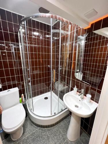 a bathroom with a shower and a toilet and a sink at Kyiv Whisky Box Apartments in Kyiv