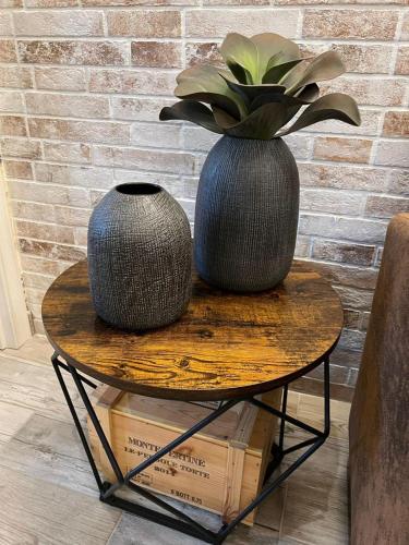 two vases sitting on a table with a plant at Casa Anita in Mentana