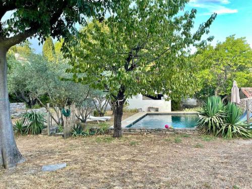 - une piscine dans une cour avec un arbre dans l'établissement La maison du prieuré, à Vézénobres