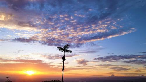 a palm tree with the sunset in the background at Río Celeste Nature View in Upala