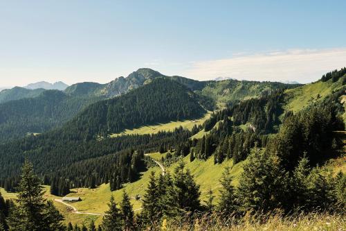 a view of a mountain valley with trees at Clubhaus Bachmair Weissach in Tegernsee