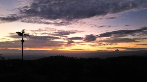 a sunset with a palm tree in the sky at Río Celeste Nature View in Upala