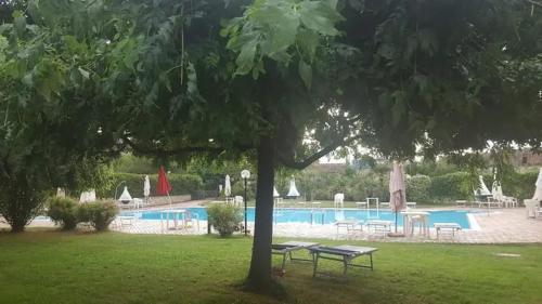 IL PICCOLO PARADISO tesisinde veya buraya yakın yüzme havuzu
