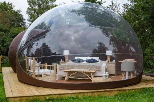1 dormitorio en una cúpula de cristal en un jardín en La ferme de Basseilles, en Mozet 