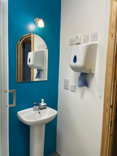 a bathroom with a sink and a mirror at Rosehip Barn in Launceston