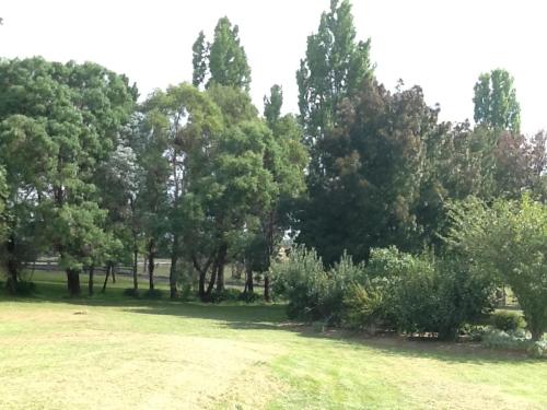Κήπος έξω από το Glen Waverly Farmstay