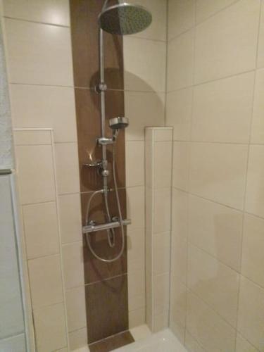 a shower with a glass door in a bathroom at Große PRIVATE SPA WELLNESS Ferienwohnung in KOBLENZ NÄHE ZUM RHEIN in Koblenz