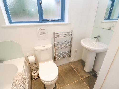 a bathroom with a toilet and a sink at Grove Lodge in Penzance