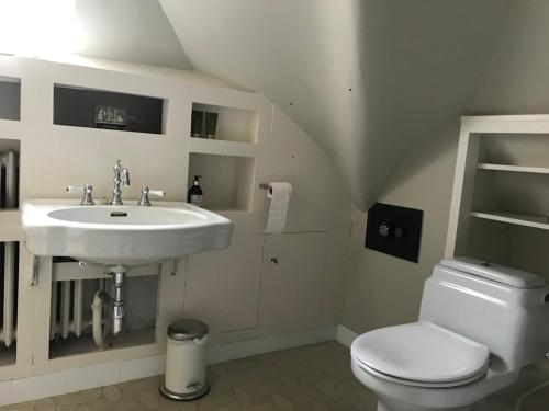 a bathroom with a sink and a toilet at de Swaenhoeve in Zoersel