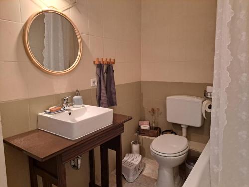 a bathroom with a sink and a toilet and a mirror at Bensdorfer Mühle - Auszeit in Brandenburg in Bensdorf