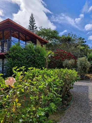 a garden in front of a house with bushes at Casitas Vista Verde in Bajo Boquete