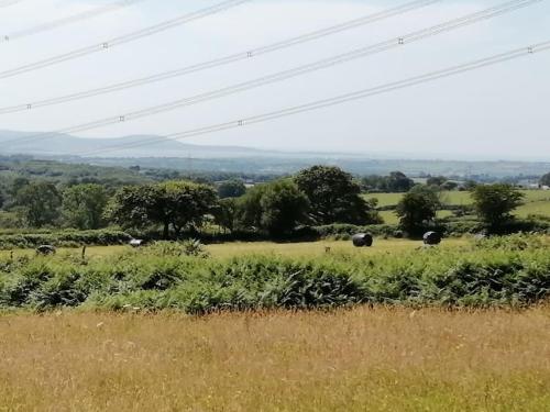 a field of grass with animals in the distance at Converted rural stone cottage, Swansea in Swansea