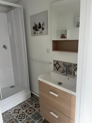 łazienka z umywalką i prysznicem w obiekcie La petite maison de Kerguiniou w mieście Glomel