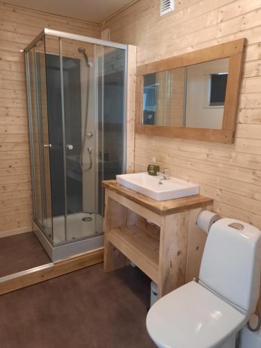 ein Bad mit einem WC, einem Waschbecken und einer Dusche in der Unterkunft Camp Route 45 in Hammerdal
