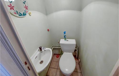 a small bathroom with a toilet and a bath tub at 2 Bedroom Lovely Home In Bas-En-Basset in Bas-en-Basset